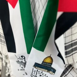 Alternative view of وشاح فلسطين