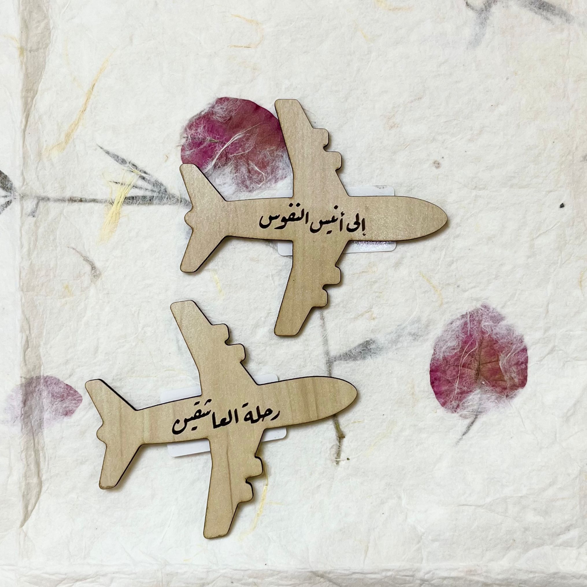 طائرة إلى أنيس النفوس