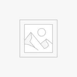 عنصر نائب Placeholder